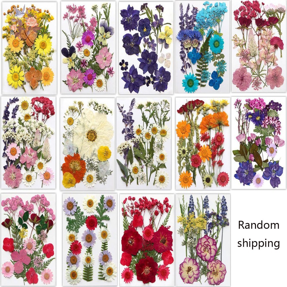 Segnalibro di fiori secchi pre - Dried Flower Bookmark recensione e prezzo