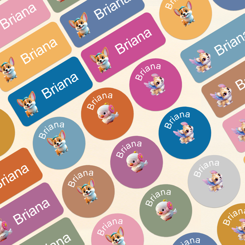 Etichette Personalizzate con N - Personalized Name Box recensione e prezzo